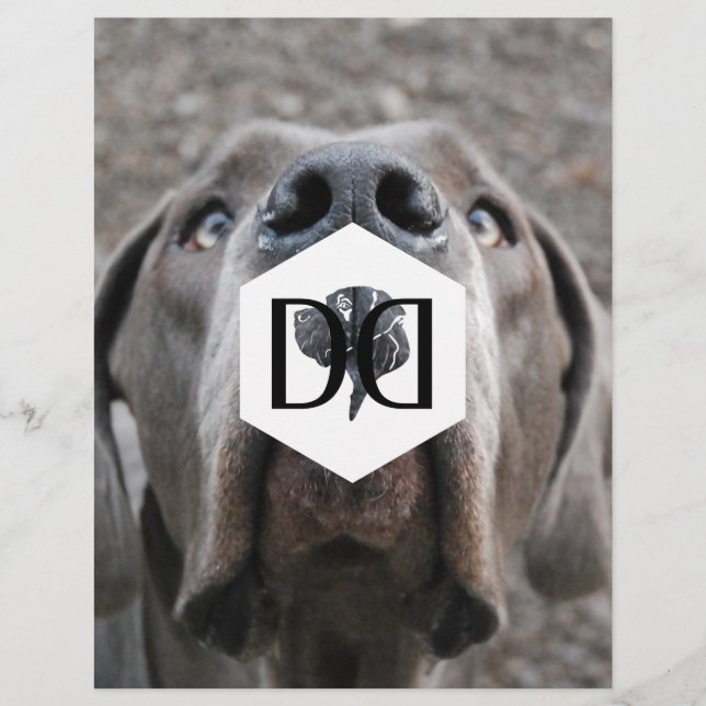 Doggenzucht Inventeur prospectus (Devant)