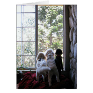Doggies dans la fenêtre