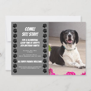 Doggy Doggy Anniversaire Fête Invitation