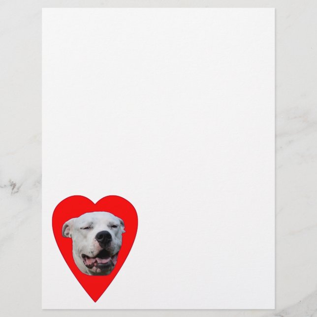 Dogo Argentino souriant (Devant)
