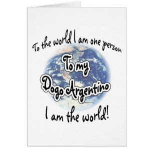 Dogo Argentino World 2