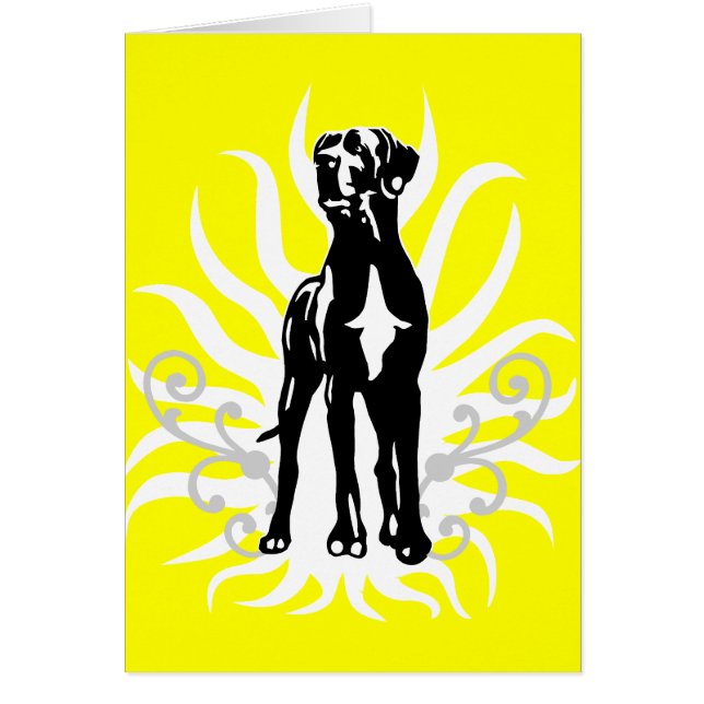 Dogue Allemand étalon (Devant)