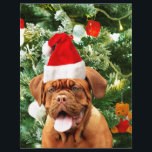 Dogue de Bordeaux Christmas Tree Snowman boîte cad<br><div class="desc">Cute Dogue de Bordeaux Photo Chien avec boîte cadeau de Noël Snowman en arrière - plan. Un cadeau parfait pour Noël !</div>