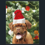Dogue de Bordeaux Christmas Tree Snowman boîte cad<br><div class="desc">Cute Dogue de Bordeaux Photo Chien avec boîte cadeau de Noël Snowman en arrière - plan. Un cadeau parfait pour Noël !</div>