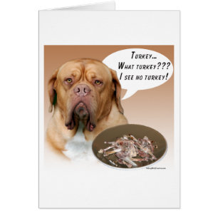 Dogue de Bordeaux Turquie