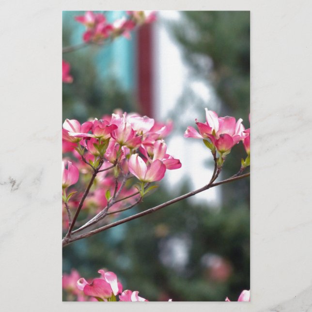 Dogwood rose (Devant)