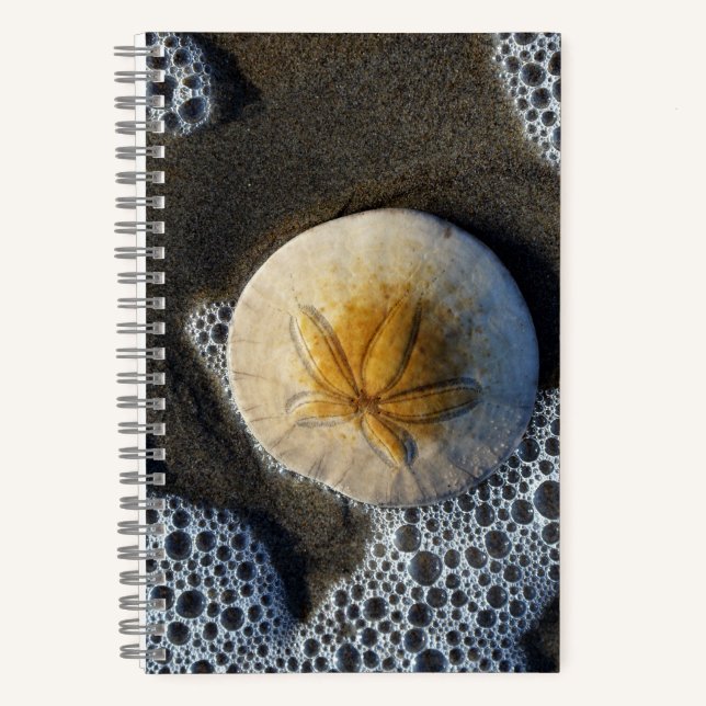 Dollar de sable et Surf de plage Photo 8x5 Carnet (Recto)