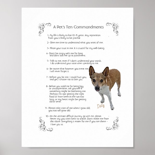 Dolly - Poster (Devant)