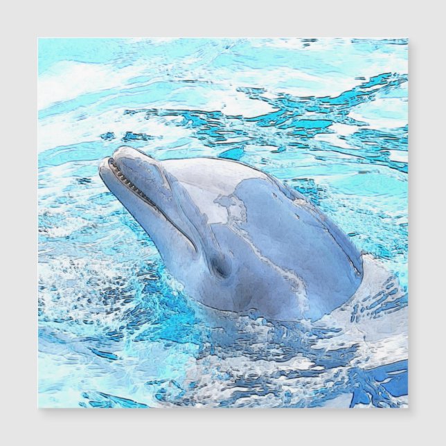 Dolphin CArt (Devant)