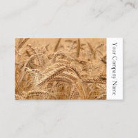 Domaine du blé Photographie - Carte de visite