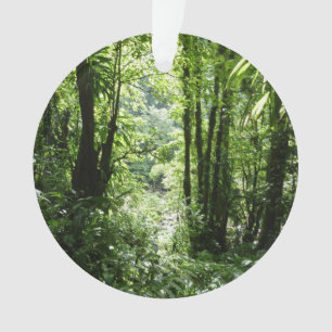 Dominicain Forêt de pluie II Vert tropical