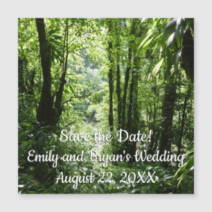 Dominicain Forêt de pluie II Vert tropical