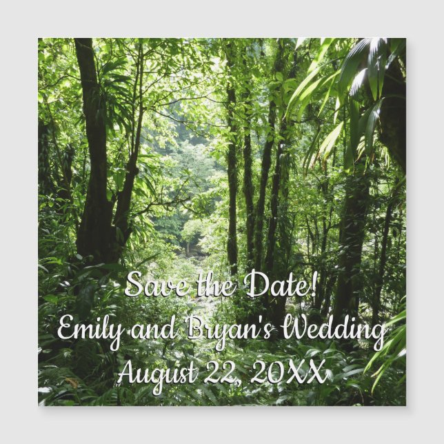 Dominicain Forêt de pluie II Vert tropical (Devant)