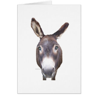Donkey dans votre visage