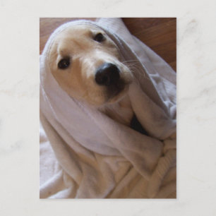 données dans la carte postale serviette