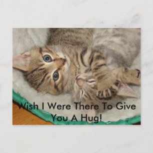 Donner Une Carte Postale Hug Kitty