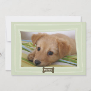 Donnez un chien à un animal photo Faire-part