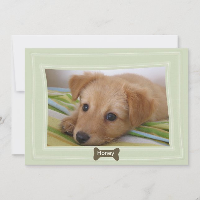 Donnez un chien à un os Photo Faire-part (Devant)