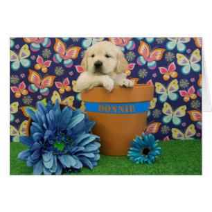 Donnie, photo de la semaine 5