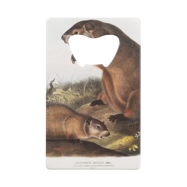 Dons Boodchuck Camping Deco (Dos)