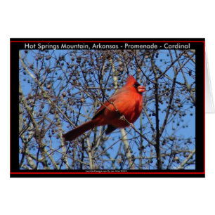 Dons cardinaux de la Promenade des sources chaudes