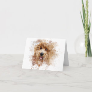 Doodle d'or blanc