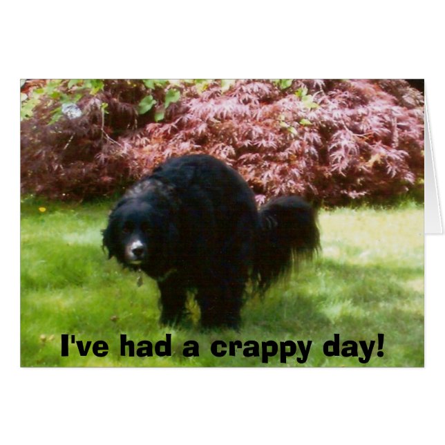 doodles, j'ai eu une journée merdique ! (Devant horizontal)