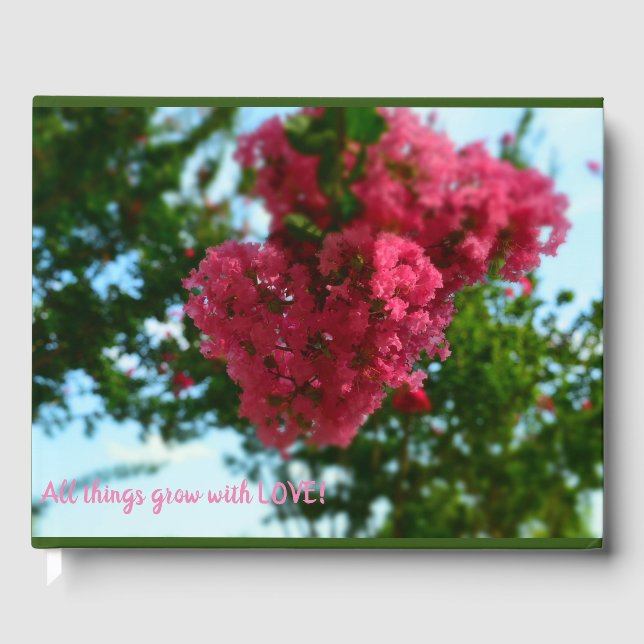 D'or Livre d'invités (Recto)