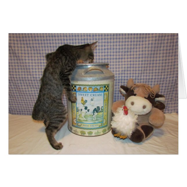 Dora - la crème de la crème (Devant horizontal)