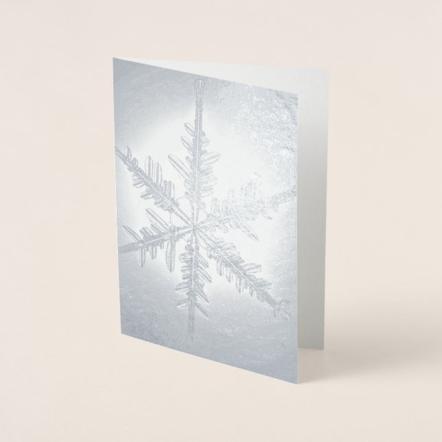 Dorée Carte de flocon à neige à huile d'argent (Devant)