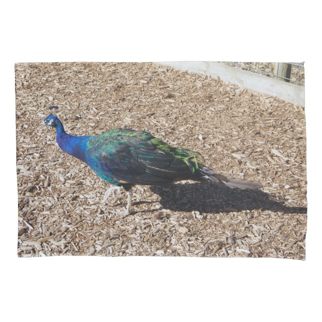 D'oreillers Housse de coussin Paon bleu indien (devant)