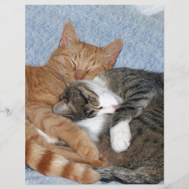 Dormir des charmantes (Devant)