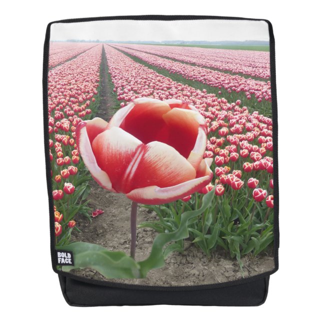 Dos Tulipe rouge et blanche sur terrain Tulipes Sac à  (Devant)