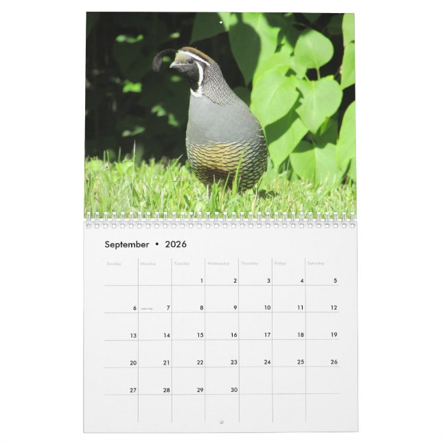 Dos Yard Birds !  CALENDRIER DE L'Oiseau (Sep 2026)