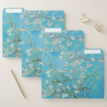 Dossier Vincent van Gogh - Fleur d'amandes<br><div class="desc">Almond Blossom / Branches with Almond Blossom - Vincent van Gogh,  Oil on Canvas,  1890</div>