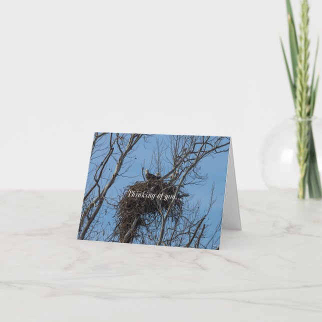 Double Aigle Trouble Penser À Votre Carte (Devant)