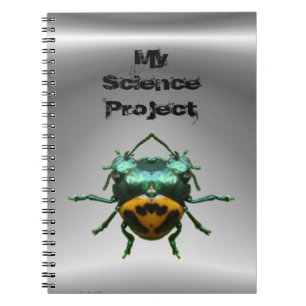 Double carnet de ~ de scarabée d'en-tête