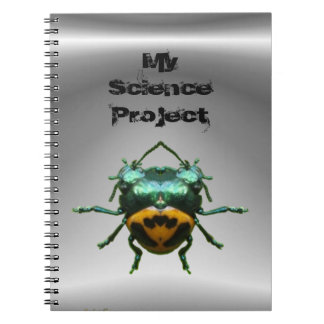 Double carnet de ~ de scarabée d'en-tête