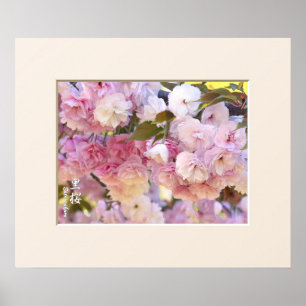 Double Cherry Blossom: Sato-zakura affiche