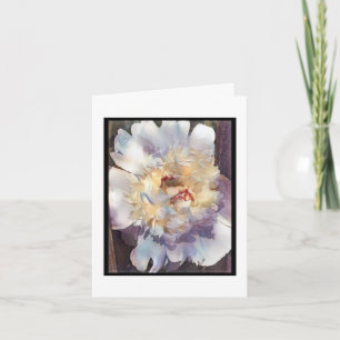 Double Peony blanc avec bords roses Carte de voeux