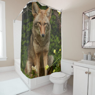 Douche rideau Coyote