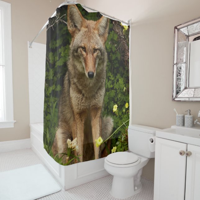 Douche rideau Coyote (En situation)