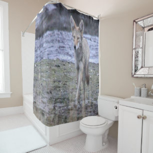 Douche rideau Coyote