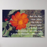 Douleur et risque - Anais Nin - affiche