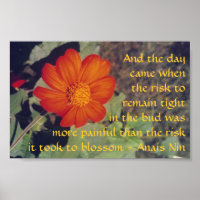 Douleur et risque - Anais Nin - affiche