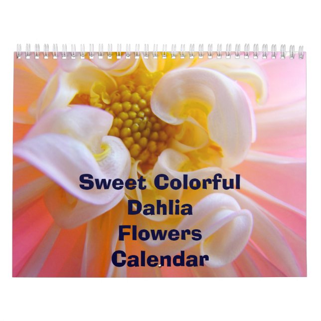 Doux coloré Fleurs Dahlia Calendrier Florales (Protection)