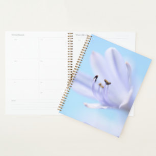 Doux Pastel bleu violet Fleur