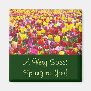 Doux Printemps à Vous ! aimants Fleurs de Tulipe
