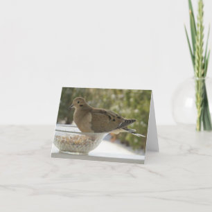 Dove and Bowl - Carte de voeux vierge