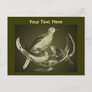 Doves sur succursale Carte postale personnalisable
